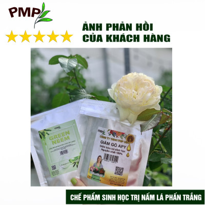 Bộ trừ bệnh vi sinh, sinh học PMP cho cà chua bạch tuộc - Killpa, Trichoderma, Biomic, Green Neem, Giấm gỗ Apy, Mật rỉ đường