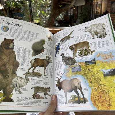 (Bìa cứng, in màu toàn bộ) A.TLAS CÁC LOÀI CHIM và A.TLAS ĐỘNG VẬT- Barbara Taylor – Lê Thu Hằng dịch - Đông A - NXB Dân Trí