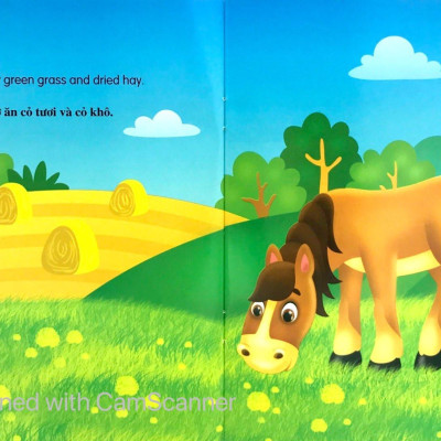 Bộ Sách Những Câu Chuyện Về Thế Giới Loài Vật 1 (Bộ 6 Cuốn)