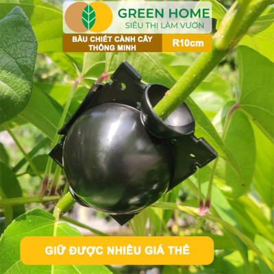 Bầu Chiết Cành GreenHome, R10cm(1 Thùng 80 CÁI), Tăng Khả Năng Ra Rễ,Phù Hợp Với Xoài, Mít,Sầu Riêng