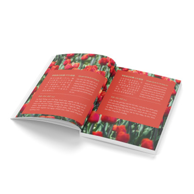 Sách - 999 Lá Thư Gửi Cho Chính Mình - Những Lá Thư Ấn Tượng Nhất - Tập 2 (Phiên Bản Song Ngữ Trung-Việt) (Tái Bản 2025)