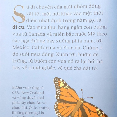 Lâu Đài Khoa Học Của Em: Tại Sao Bướm Vua Lại Di Cư?