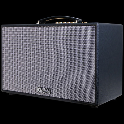 Dàn âm thanh di động xách tay ACNOS CS201PU - HÀNG CHÍNH HÃNG