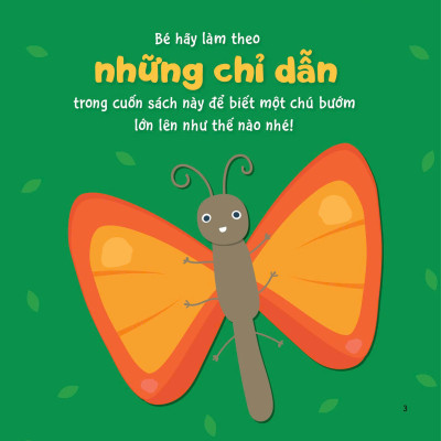 Sự Sinh Trưởng Kỳ Diệu Của Vạn Vật - Vòng Đời Của Bướm