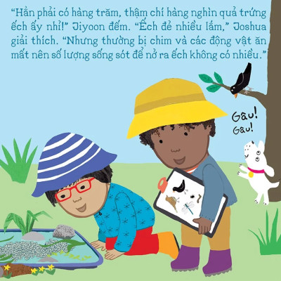 Thí Nghiệm Vui Cùng Rosa - Vòng Đời Của Ếch