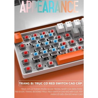 Keyboard T-WOLF T60 Gray White Chính hãng (Phím cơ, 63 key, Blue Switch, 20 chế độ LED, Kết nối cổng Type-C) - BH 12TH - Hàng chính hãng