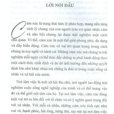Cảm Xúc Tại Nơi Làm Việc (Sách Chuyên Khảo)