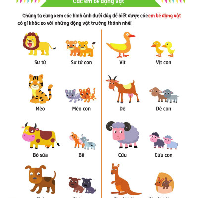 Sách - Cùng Em Rèn Luyện Khoa Học - Nâng Cao