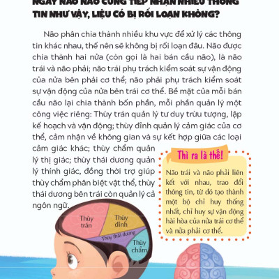 10 Vạn Câu Hỏi Vì Sao - Não Bộ - Vị Chỉ Huy Tài Ba _LL