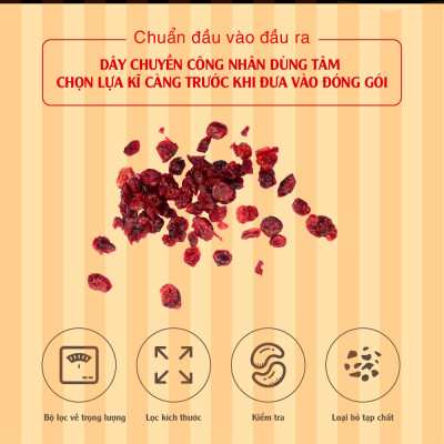 Nam Việt Quất 150g Dan D Pak