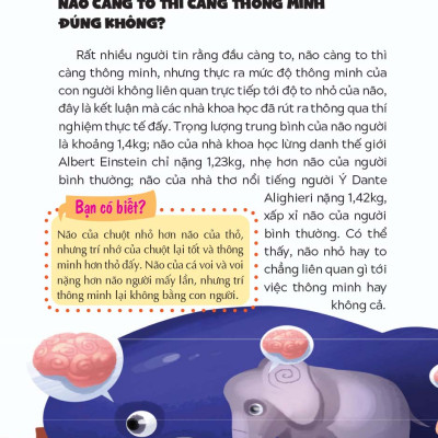 10 Vạn Câu Hỏi Vì Sao - Não Bộ - Vị Chỉ Huy Tài Ba _LL