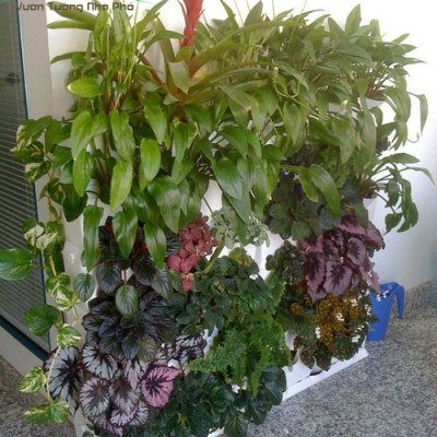 Chậu Trồng Cây Đứng Nhập Khẩu Châu Âu áp tường dạng tường xanh thẳng đứng hiệu Minigarden Vertical (Trọn bộ 3 SET + 1 KHAY nước)