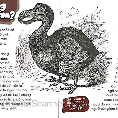 Độc Lạ Phi Thường - Bên Bờ Tuyệt Chủng