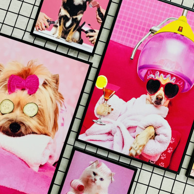 Tranh treo tường thú cưng - tranh treo tường tiệm thú ý-tranh treo tường cho bé THD118 - tặng kèm đinh 3 chân