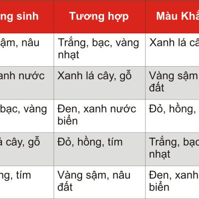 Vòng phong thủy nam Mắt chim ưng thiên nhiên  VIP mix bạc VN011