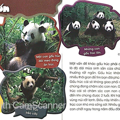 Độc Lạ Phi Thường - Bên Bờ Tuyệt Chủng