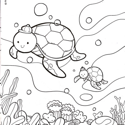 Bộ Tô Màu Biển Đảo Tổ Quốc Em (Bộ 4 Cuốn)