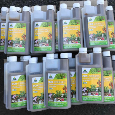 Amino Úc Eco-aminogro (Yellow Bee) nhập khẩu trực tiếp chai 500ml