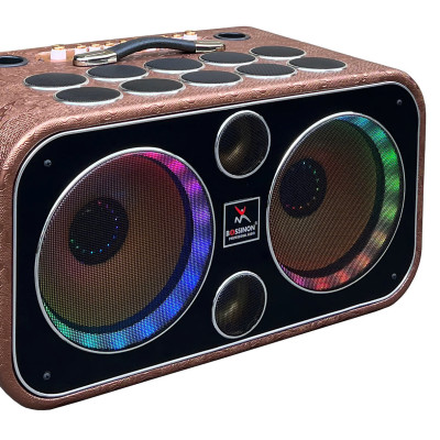 Loa Karaoke xách tay 18 Đường Tiếng Bossinon N2536K - Loa Kèm 2 Micro, Công Suất 800W Echo, Reverb ,2 Bass 25Cm - Hàng chính Hãng