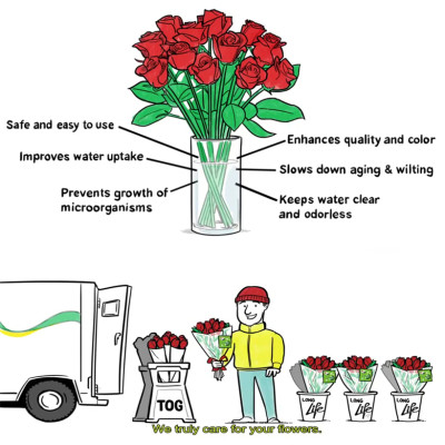Combo 2 Chai Nước Cắm Hoa Lâu Tàn và Kiềm hoa không nở 15 ngày tại nhà vườn trồng hoa bằng dung dịch bảo quản hoa TOG Galileo của Israel