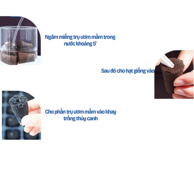 Viên ươm mầm hạt giống trồng thủy canh Monrovia, tỉ lệ nảy mầm cao, giàu chất dinh dưỡng