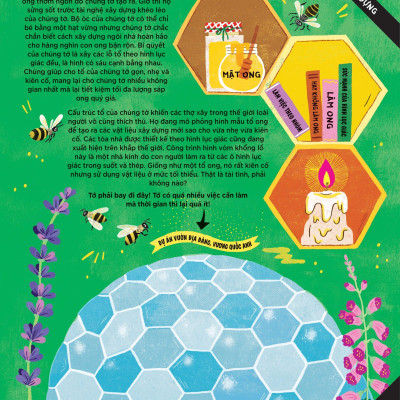 Động Vật Có Tầm Ảnh Hưởng - Hạng Mục: Xây Dựng - Nguồn Cảm Hứng Cho Những Công Trình Kiến Trúc Của Loài Người