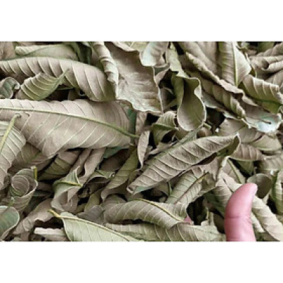 lá ổi non khô túi 1kg 500gram