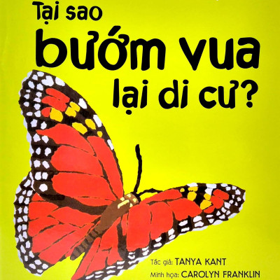 Lâu Đài Khoa Học Của Em: Tại Sao Bướm Vua Lại Di Cư?