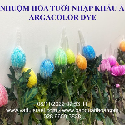 1 Thùng Bột Màu Hoa Tươi "chuyên nghiệp" nhuộm đổi màu hoa cắt cành ( Gồm 8 màu x 1 hủ 110gr)