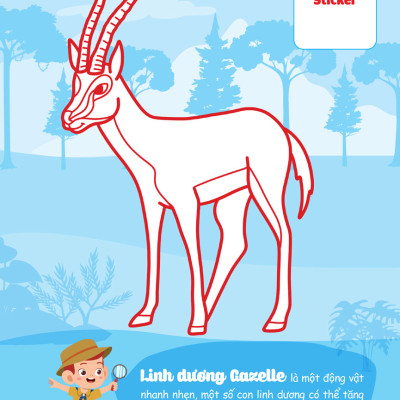 Con Tô Màu - Thám Hiểm Châu Phi _MEGA