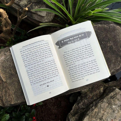 Sách - Đại Ý Kinh Pháp Hoa - Vĩnh Nghiêm Books