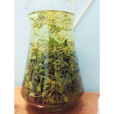 cây rau má phơi khô túi 1kg