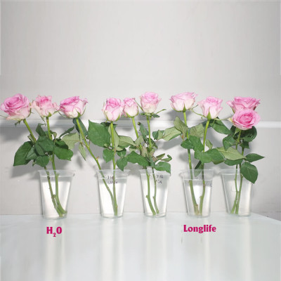 NƯỚC CẮM HOA HỒNG LÂU TÀN (1 LÍT TOG) nhập khẩu ISAREL dành cho Nhà Vườn Trồng Hoa Grower bảo quản hoa