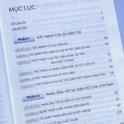 Trẻ Cáu, Cha Mẹ Gắt - Hiểu Và Xử Lí Cơn Giận Trong Gia Đình