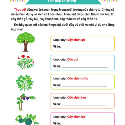 Sách - Cùng Em Rèn Luyện Khoa Học - Nâng Cao