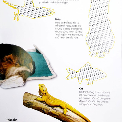 Dán Hình Tuyệt Đỉnh - Các Loài Thú Cưng _DTI