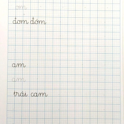 Vở Viết Đúng, Viết Đẹp 1 - Tập 2