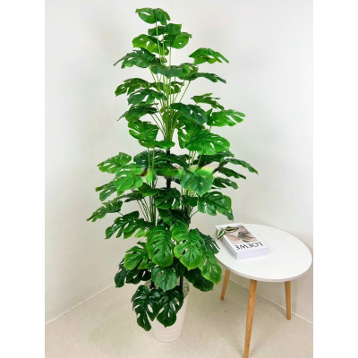 Cây trầu bà lá xẻ giả - Tặng chậu, xốp, cỏ hoặc rêu trải bề mặt - Cây giả, hoa lụa trang trí nhà cửa