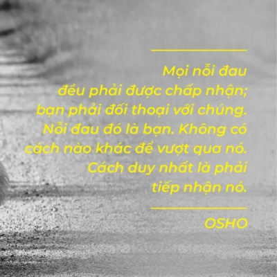 Osho - Cảm Xúc - Chuyển Hóa Nỗi Sợ Hãi, Giận Dữ Và Ghen Tuông Thành Năng Lượng Sáng Tạo - Bìa mềm - First News