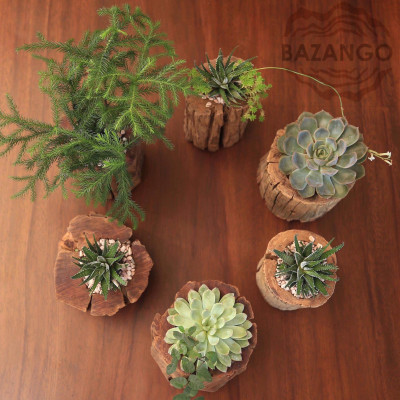 Chậu Cây Gỗ Tự Nhiên