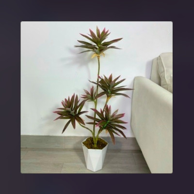 Bộ cây phát lộc giả 5 nhánh - Kích thước 80cm - Cây giả, hoa lụa Decor trang trí nhà cửa