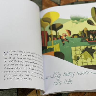 (Minh hoạ màu) CÂY NHÀ LÁ VƯỜN - Khám phá thế giới cây trái việt nam đa dạng phong phú – Thanh Soledas - Nxb Kim Đồng 