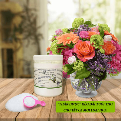 Thuốc Chăm Sóc Hoa tươi Cắm Xốp Lâu Tàn tại shop hoa Longlife SG của Israel (Combo 5KG pha 500L nước tiết kiệm) giúp hoa tươi gấp 2 lần và hạn chế thay hoa định kỳ, hoa cắm lẵng tươi lâu