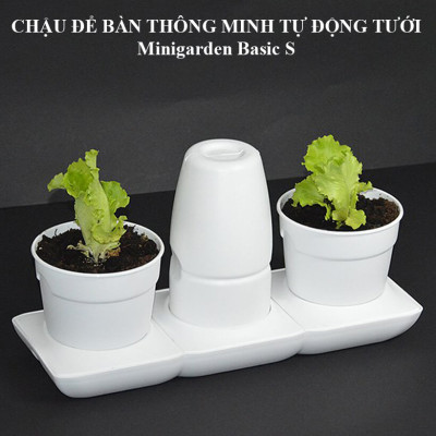 Chậu trồng rau sạch tự động tưới nước và tự chăm sóc rau tại nhà trong 2 tháng Minigarden Basic S (1 bộ gồm 2 chậu S, 1 khay hứng nước, 1 bình chứa nước và phân)