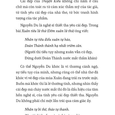Mỹ Học Của Nguyễn Du (TRẺ) 