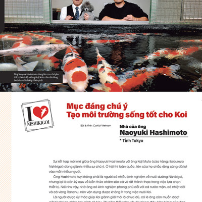 Cá Koi Vietnam - Tập 5