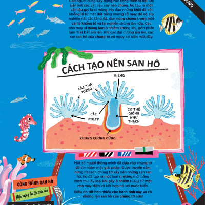 Động Vật Có Tầm Ảnh Hưởng - Hạng Mục: Xây Dựng - Nguồn Cảm Hứng Cho Những Công Trình Kiến Trúc Của Loài Người