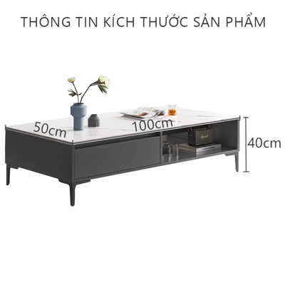 Bàn trà sofa cao cấp phong cách Scanvadia thương hiệu IGA - GP296