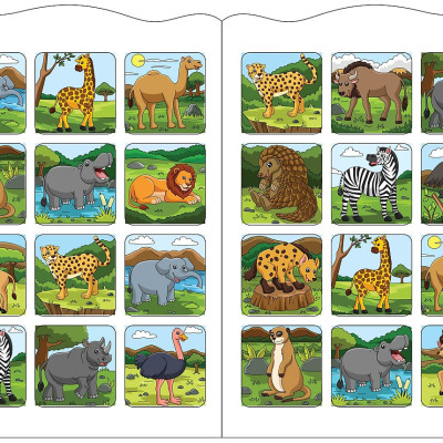 Bé Tô Màu - Khám Phá Châu Phi Hoang Dã