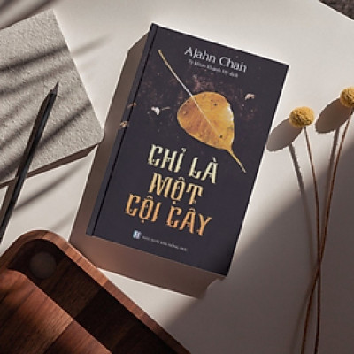 Chỉ Là Một Cội Cây
